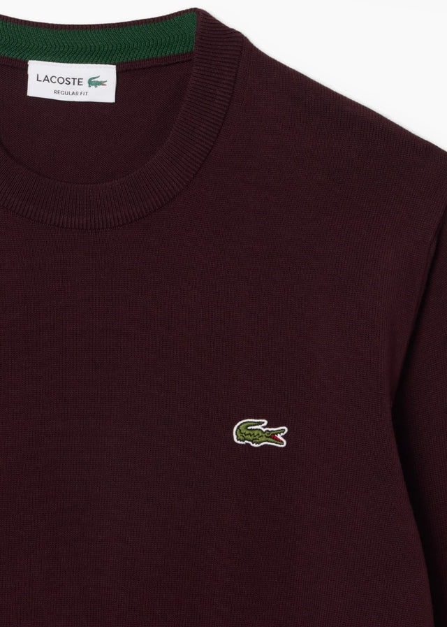 Lacoste Sweaters Regular fit crew neck sweater - oxalis