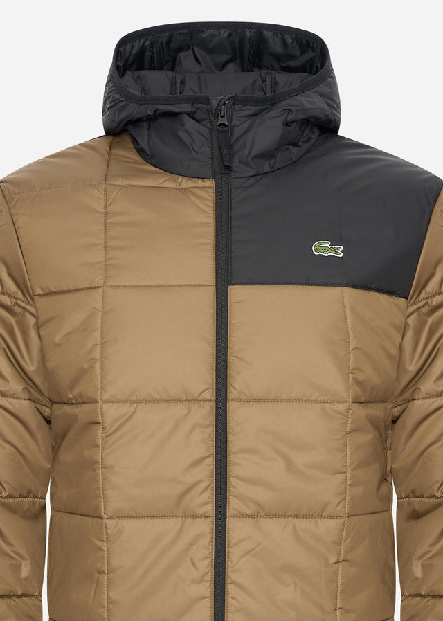 Lacoste Jackets Puffer jacket - cookie black