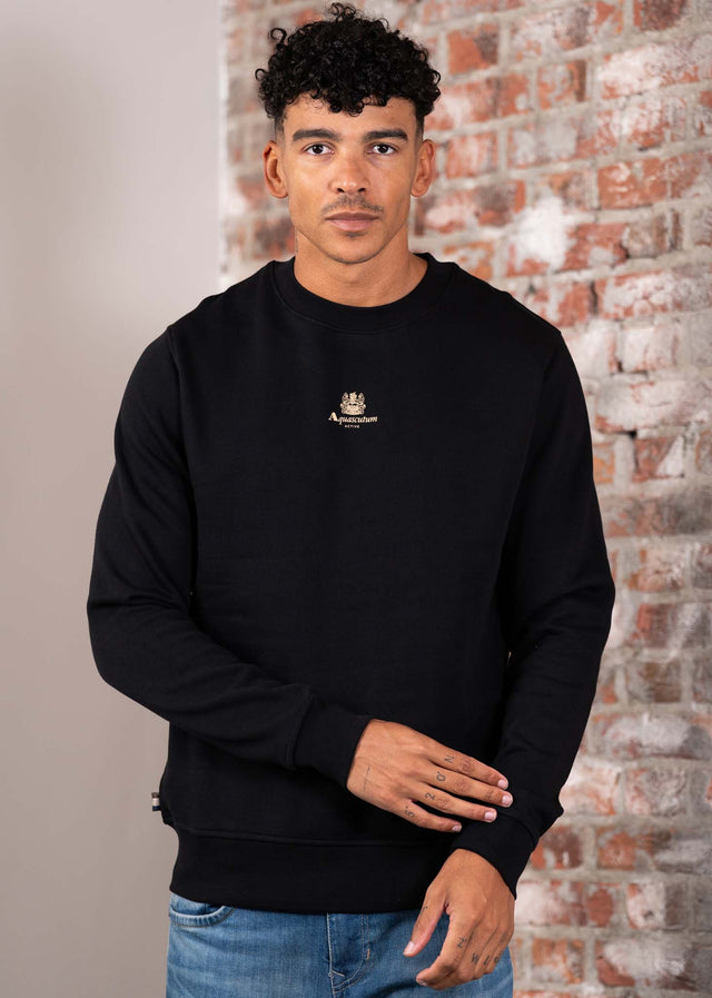 Aquascutum Sweaters Centered logo crewneck - black