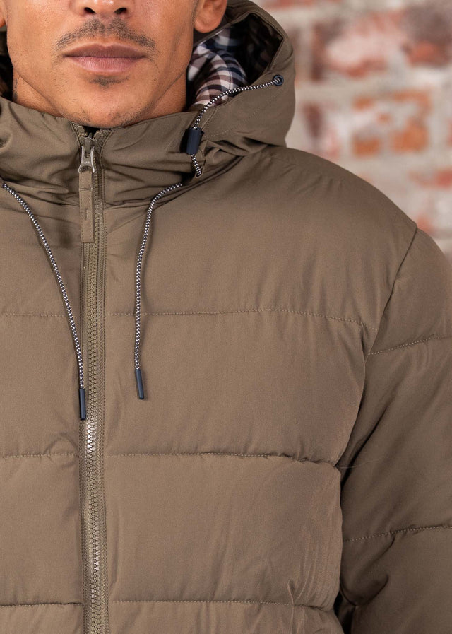 Aquascutum Jackets Sp hooded puffer - army green
