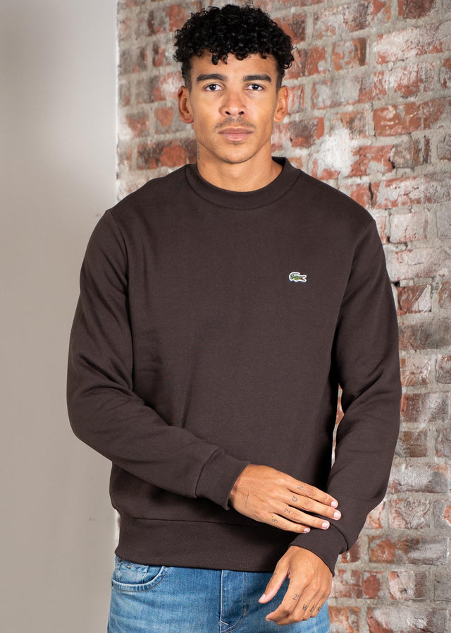 Lacoste Sweaters Sweater core - port