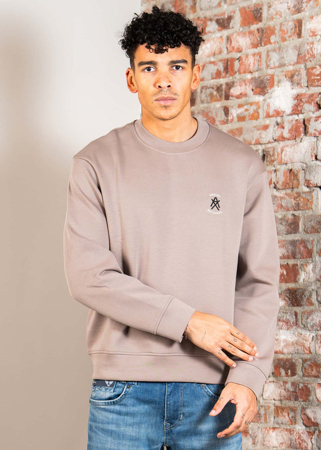 Armani Exchange Sweaters Felpa sweatshirt - driftwood
