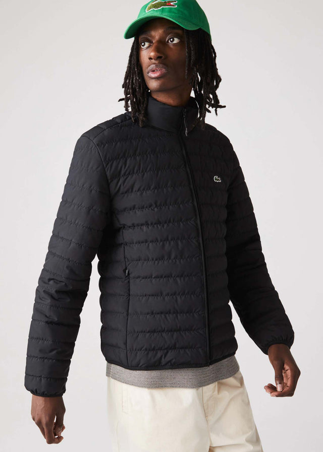 Lacoste Jackets Jacket - black tank
