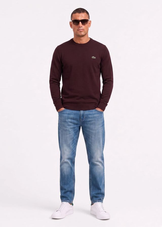 Lacoste Sweaters Regular fit crew neck sweater - oxalis