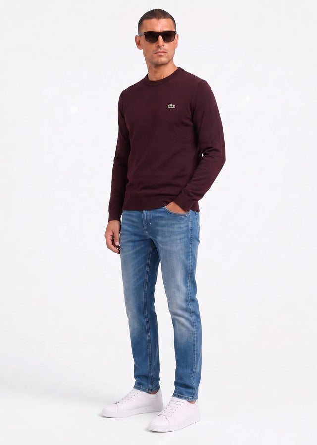 Lacoste Sweaters Regular fit crew neck sweater - oxalis