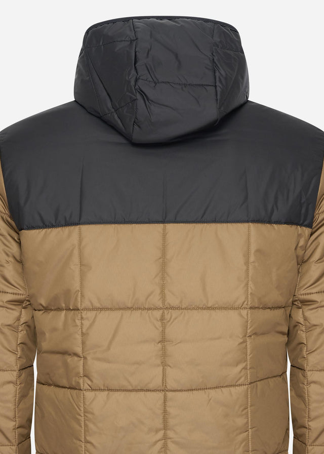 Lacoste Jackets  Puffer jacket - cookie black 