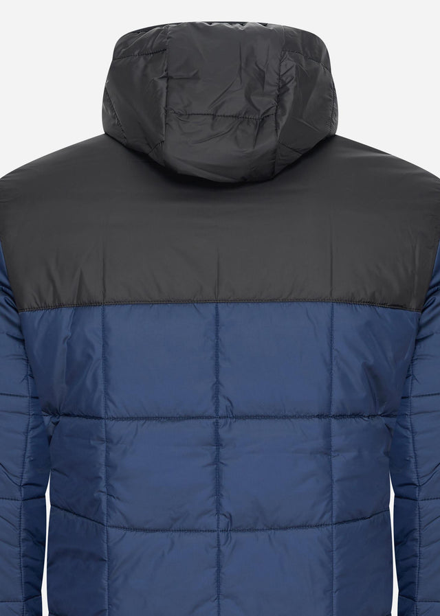 Lacoste Jackets  Puffer jacket - navy blue black 