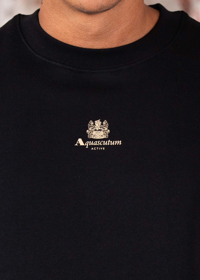 Aquascutum Sweaters Centered logo crewneck - black
