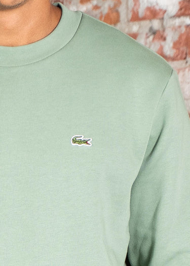 Lacoste Truien Sweater core - thyme