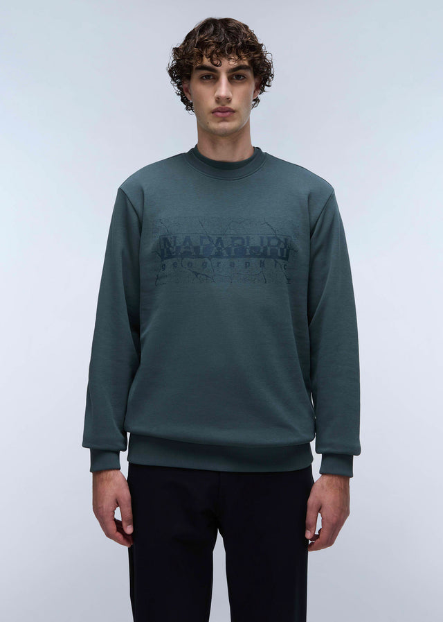 Napapijri Sweaters  Albula crewneck sweater  - green urban 