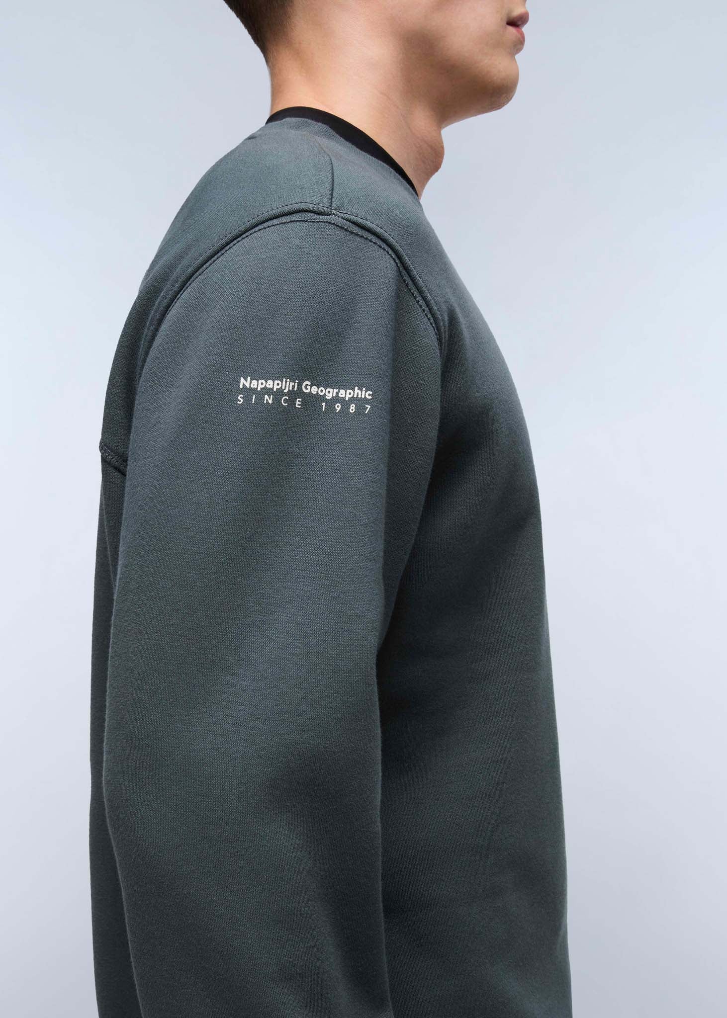 Napapijri Truien  Badge crewneck sweater  - green urban 