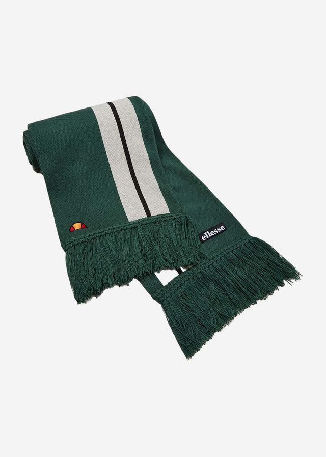 Ellesse Scarves  Benni scarf - dark green 
