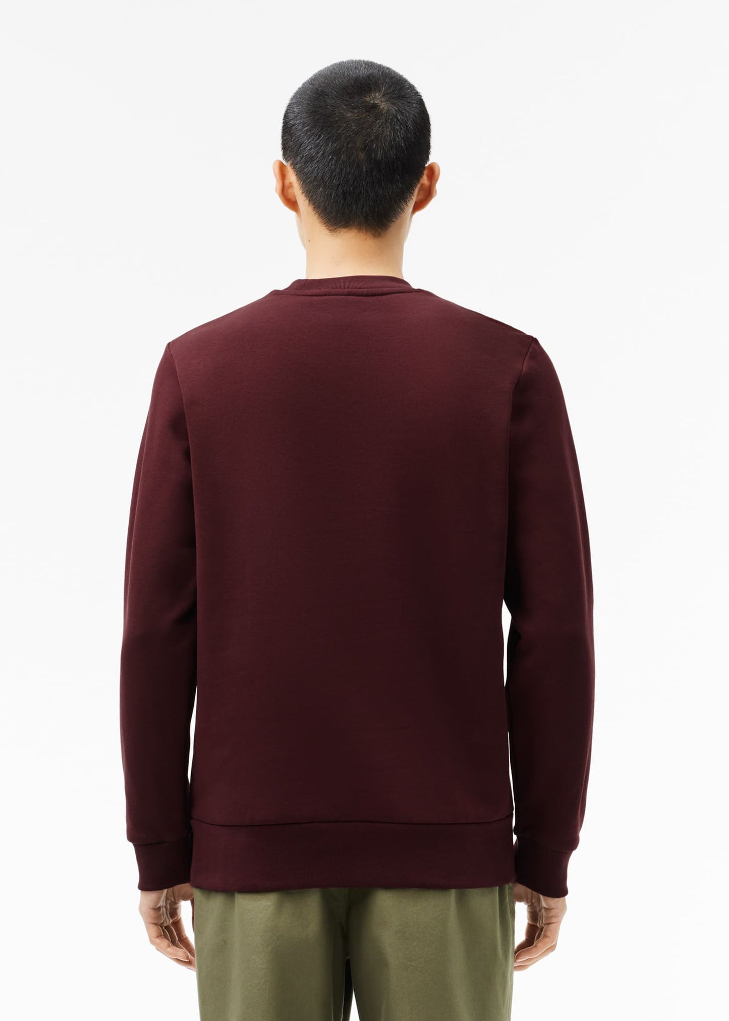 Lacoste Truien  Sweatshirt - expresso 