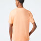 Lacoste T-shirts  Branded t-shirt - ledge 