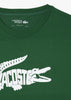 Lacoste T-shirts  Tee logo - green 