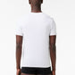 Lacoste T-shirts  Lacoste tee 3 pack - white 