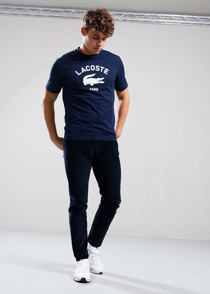 Lacoste T-shirts Tee shirt - navy blue