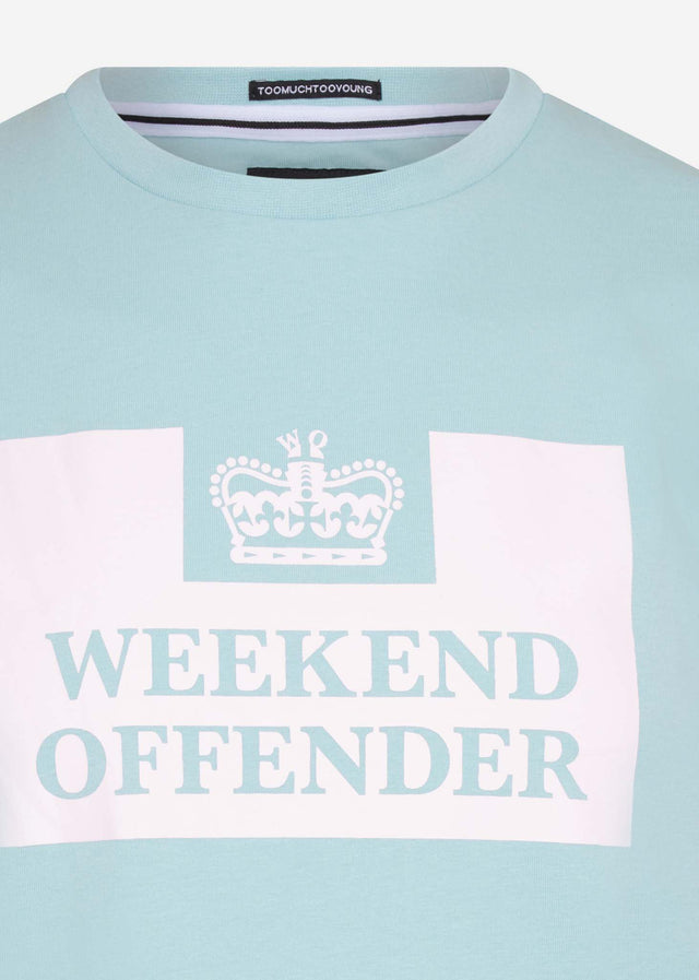 Weekend Offender T-shirts  Prison tee - cloud 