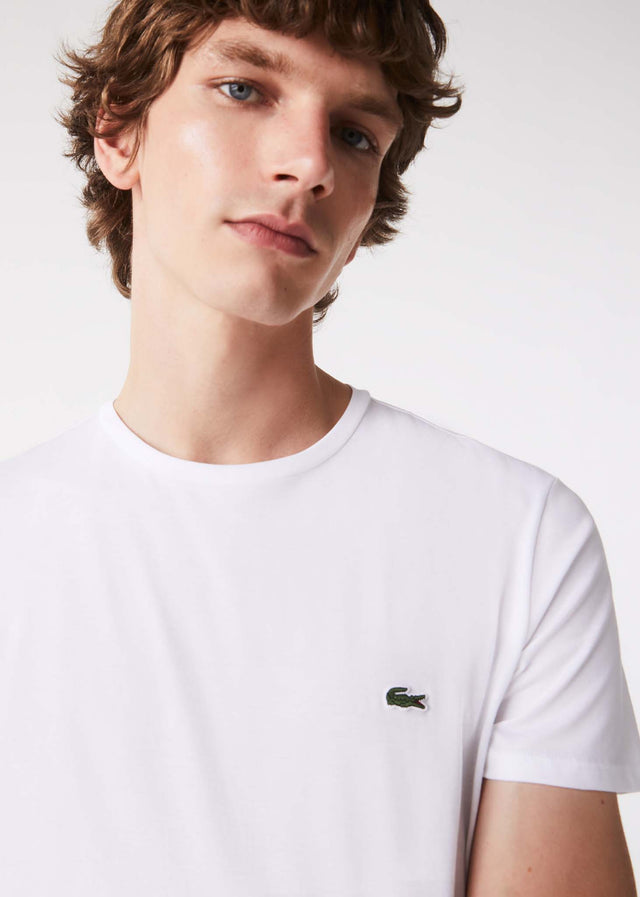 Lacoste T-shirts  T-shirt - white 