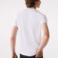 Lacoste t-shirt white